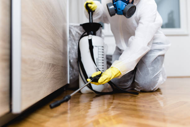 Best Best Pest Control Companies  in Rankin, TX