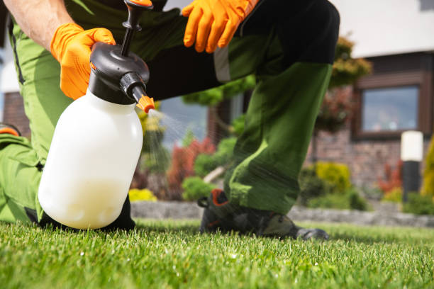 Best Affordable Pest Control Services  in Rankin, TX