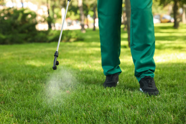 Best Pest Control Near Me  in Rankin, TX