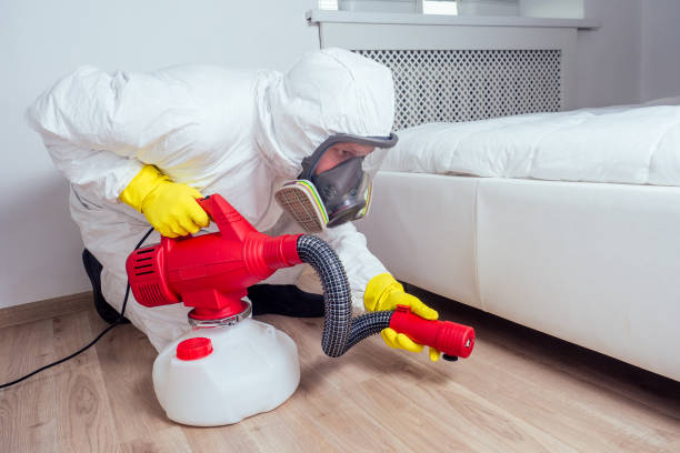 Best Local Pest Control Services  in Rankin, TX
