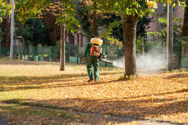 Best Flea Control Services  in Rankin, TX