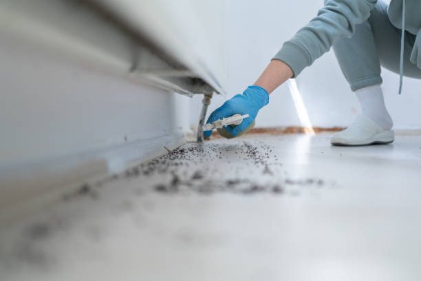 Best Cockroach Control Services  in Rankin, TX
