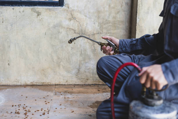 Best Pest Removal Services  in Rankin, TX