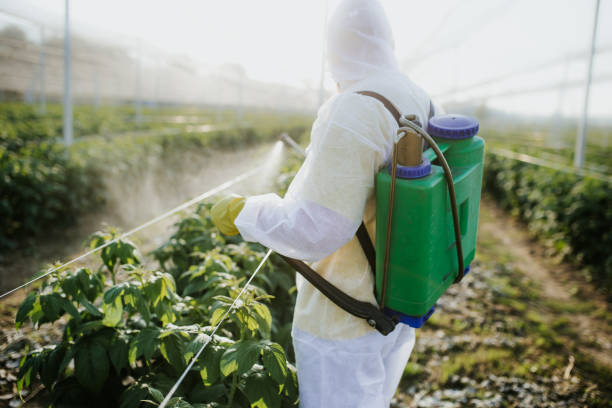 Best Exterminator Services  in Rankin, TX